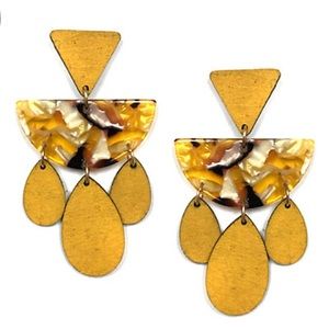 Wooden Acrylic Wedge Tassel Earrings-New